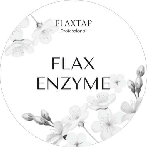 Обучение FlaxEnzyme