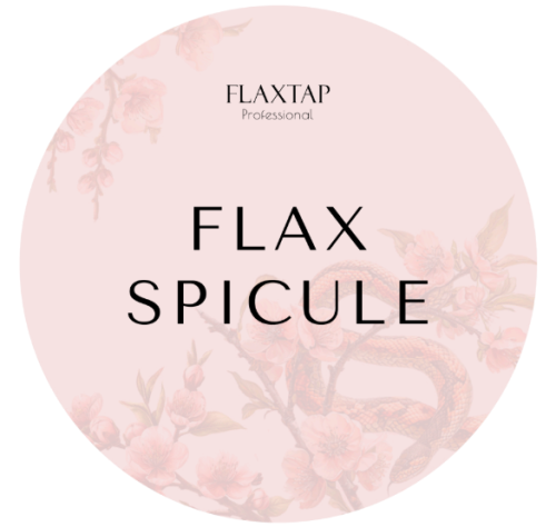 Обучение FlaxSpicule
